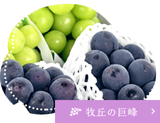 牧丘の巨峰